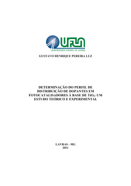 DISSERTA&Ccedil;&Atilde;O_Determina&ccedil;&atilde;o do perfil de distribui&ccedil;&atilde;o de