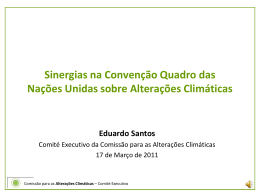 Sinergias na Conven&ccedil;&atilde;o Quadro das Na&ccedil;&otilde;es Unidas sobre