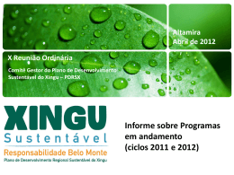 Projeto em andamento. - Instituto Socioambiental