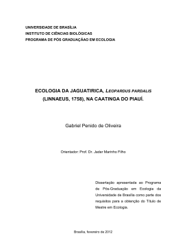 Gabriel Penido de Oliveira