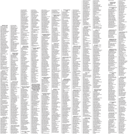 diego cadore pedroso eliamir garzon suarez emerson da rocha