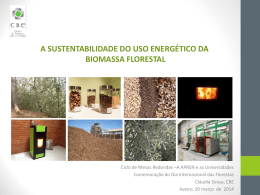 + Cláudia Sousa, CBE - Centro da Biomassa para a Energia