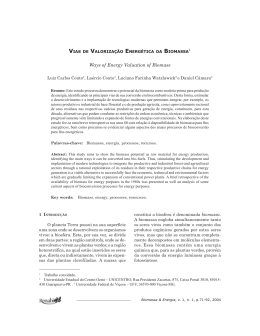 Vias de valoriza&ccedil;&atilde;o energ&eacute;tica da biomassa