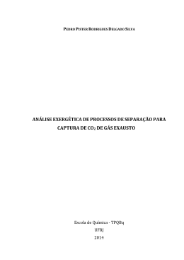 an&aacute;lise exerg&eacute;tica de processos de separa&ccedil;&atilde;o para - TPQB