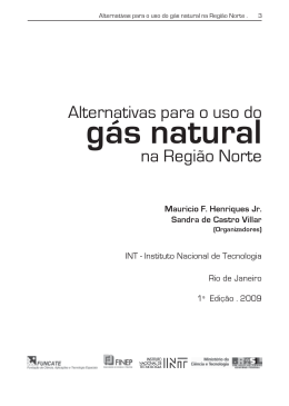 3 Alternativas para o uso do g&aacute;s natural na Regi&atilde;o Norte. Mauricio