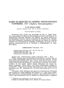 S&ocirc;bre as esp&eacute;cies do g&ecirc;nero Andinoravinia. Townsend, 1917