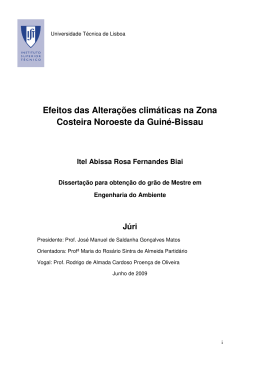 Efeitos das Altera&ccedil;&otilde;es clim&aacute;ticas na Zona Costeira Noroeste da