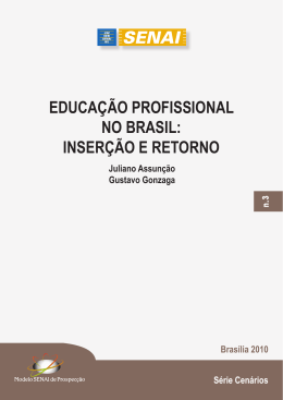 EduCA&Ccedil;&Atilde;O PROFISSIONAL NO BRASIL: INSER&Ccedil;&Atilde;O E RETORNO