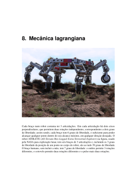 8. Mec&acirc;nica lagrangiana