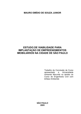 estudo de viabilidade para implanta&ccedil;&atilde;o de empreendimentos