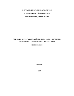 Arquivo em PDF - Dados e textos sobre a Luta pela Terra e a
