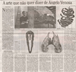 ` A arte que não quer dizer de Angelo Venosa