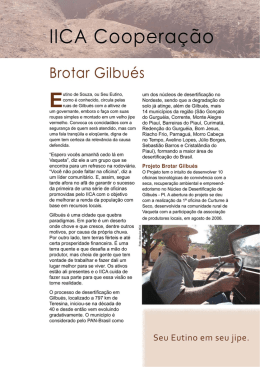 Brotor Gilbués