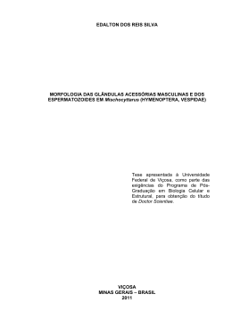 EDALTON DOS REIS SILVA MORFOLOGIA DAS
