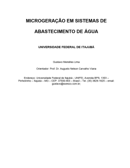 Gustavo Meirelles Lima