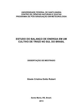 estudo do balan&ccedil;o de energia em um cultivo de trigo no sul