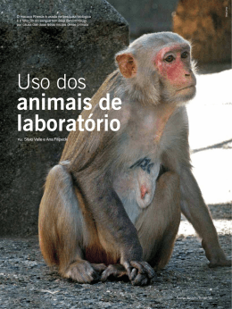 Animal Business Brasil 49 - Arca