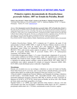 Primeiro registro documentado de Herpsilochmus pectoralis Sclater