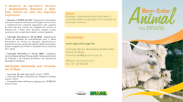 Folder Bem-estar Animal no Brasil