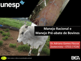 Manejo Racional e Manejo Pré