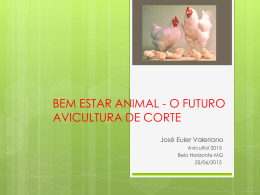 BEM ESTAR ANIMAL - O FUTURO AVICULTURA DE