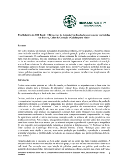 Um Relatório da HSI Brasil: O Bem