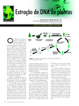 Extra&ccedil;&atilde;o de DNA de plantas