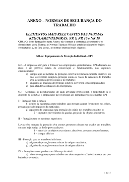 ANEXO &ndash; NORMAS DE SEGURAN&Ccedil;A DO TRABALHO