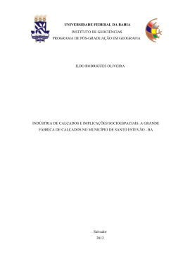 ildo rodrigues oliveira indústria de calçados e implicações