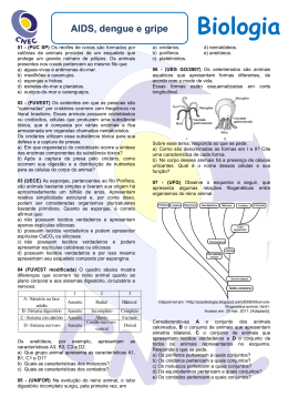 exerc&iacute;cios de revis&atilde;o 2&ordf; ano em