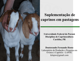 Apresenta&ccedil;&atilde;o do PowerPoint