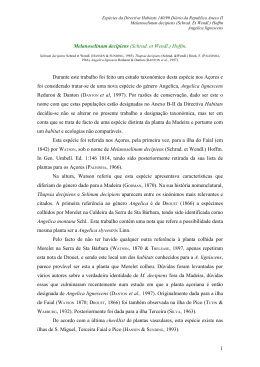 Angelica lignescens. Espécies da Directiva Aves/Habitats 140/99