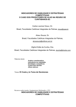 INDICADORES DE VIABILIDADE E ESTRAT&Eacute;GIAS COMPETITIVAS