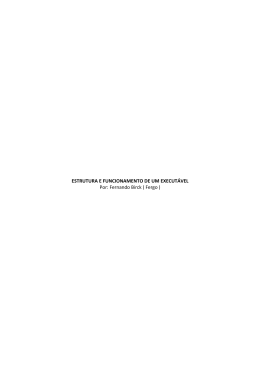 ESTRUTURA E FUNCIONAMENTO DE UM