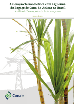 A Gera&ccedil;&atilde;o Termoel&eacute;trica com a Queima do Baga&ccedil;o de Cana