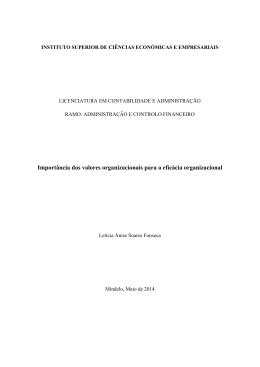 Import&acirc;ncia dos valores organizacionais para a efic&aacute;cia