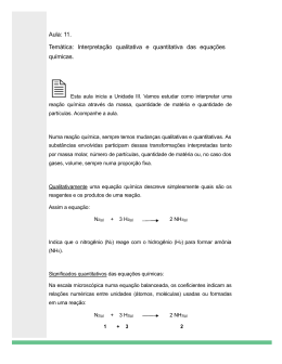 Interpretação qualitativa e quantitativa das equações químicas.