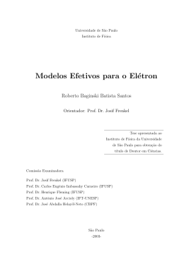 Modelos Efetivos para o Elétron