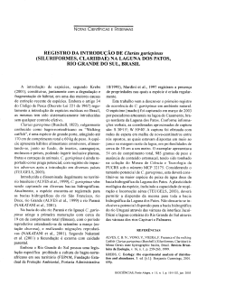 - nelsonfontoura.net