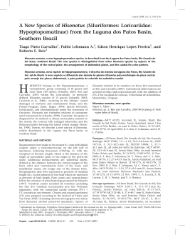 A New Species of Hisonotus (Siluriformes: Loricariidae