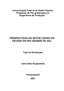 PERSPECTIVAS DO SETOR COURO DO ESTADO DO RIO