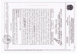 fls. 6 5 Este documento é cópia do original assinado