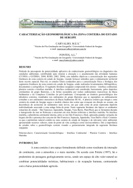 1 CARACTERIZA&Ccedil;&Atilde;O GEOMORFOL&Oacute;GICA DA ZONA