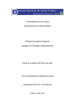 Disserta&ccedil;&atilde;o de Mestrado - Pedro Reis - RUN