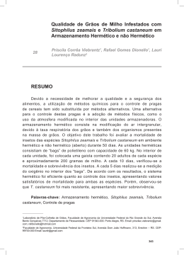 Qualidade de Gr&atilde;os de Milho Infestados com Sitophilus