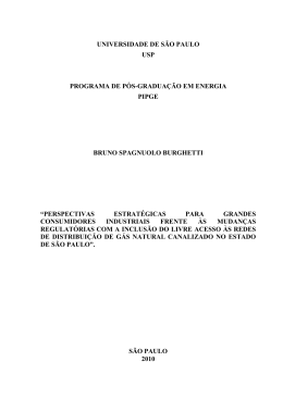 An&aacute;lise qualitativa atrav&eacute;s do modelo de for&ccedil;as de Porter do ponto