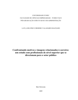 Confrontando motivos e imagens relacionados à carreira: um