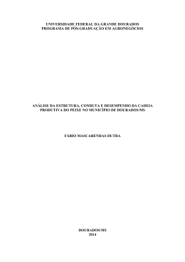 AN&Aacute;LISE DA ESTRUTURA, CONDUTA E DESEMPENHO DA