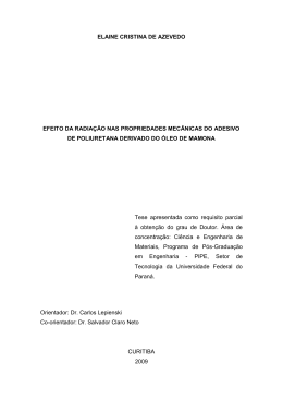 elaine cristina de azevedo - PIPE