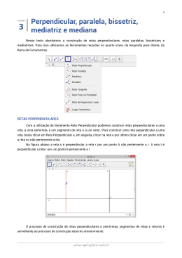 RETAS PERPENDICULARES